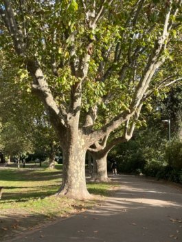 FRIENDS of VICTORIA GARDENS