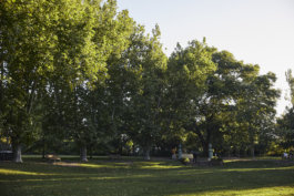 FRIENDS of VICTORIA GARDENS