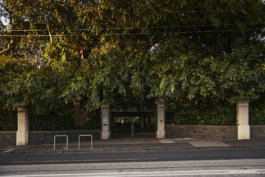 FRIENDS of VICTORIA GARDENS