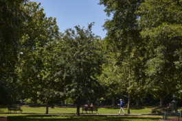 FRIENDS of VICTORIA GARDENS