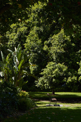 FRIENDS of VICTORIA GARDENS