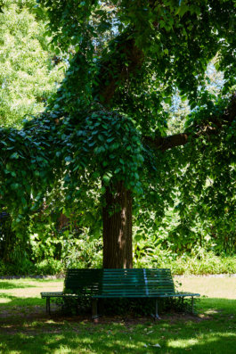 FRIENDS of VICTORIA GARDENS