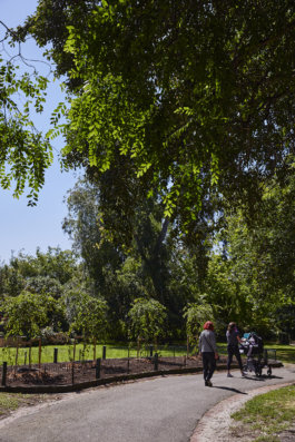 FRIENDS of VICTORIA GARDENS