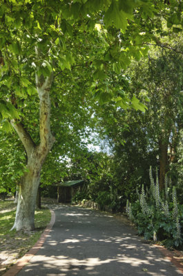 FRIENDS of VICTORIA GARDENS