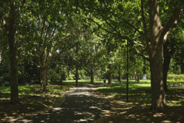 FRIENDS of VICTORIA GARDENS